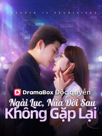 Ngài Lục, Nửa Đời Sau Không Gặp Lại